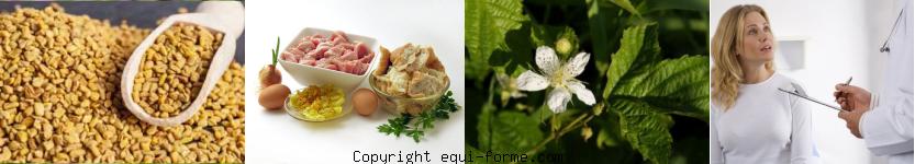 image recette pour régime amaigrissant