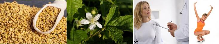 recette perdre du poids